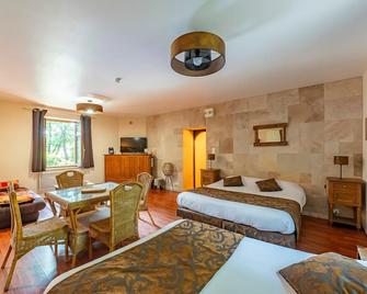 Gite with jacuzzi . - Arbigny - Bedroom