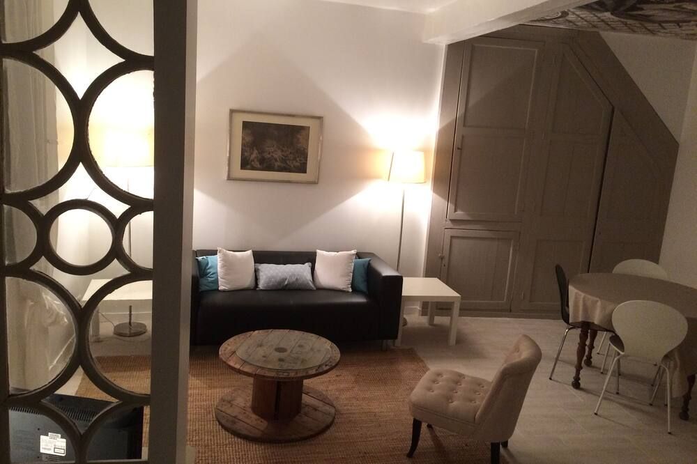 Meung sur Loire in the city center: 4 persons / 2 bedrooms - เมิงซูร์ลัวร์ - ห้องนั่งเล่น