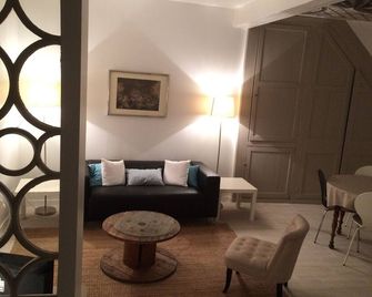 Meung sur Loire in the city center: 4 persons / 2 bedrooms - เมิงซูร์ลัวร์ - ห้องนั่งเล่น