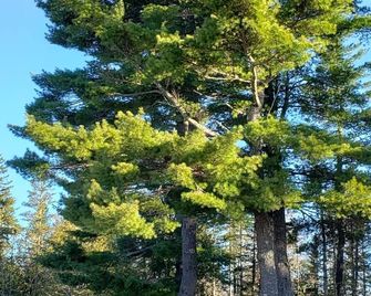 Scoodic Motel - Saint Stephen - Buiten zicht
