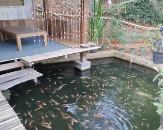 OYO 94008 Homestay Banyumili Samigaluh - Borobudur - Zwembad