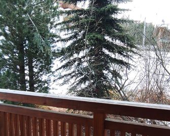 Chalet Cirmolo - ליביניו - מרפסת