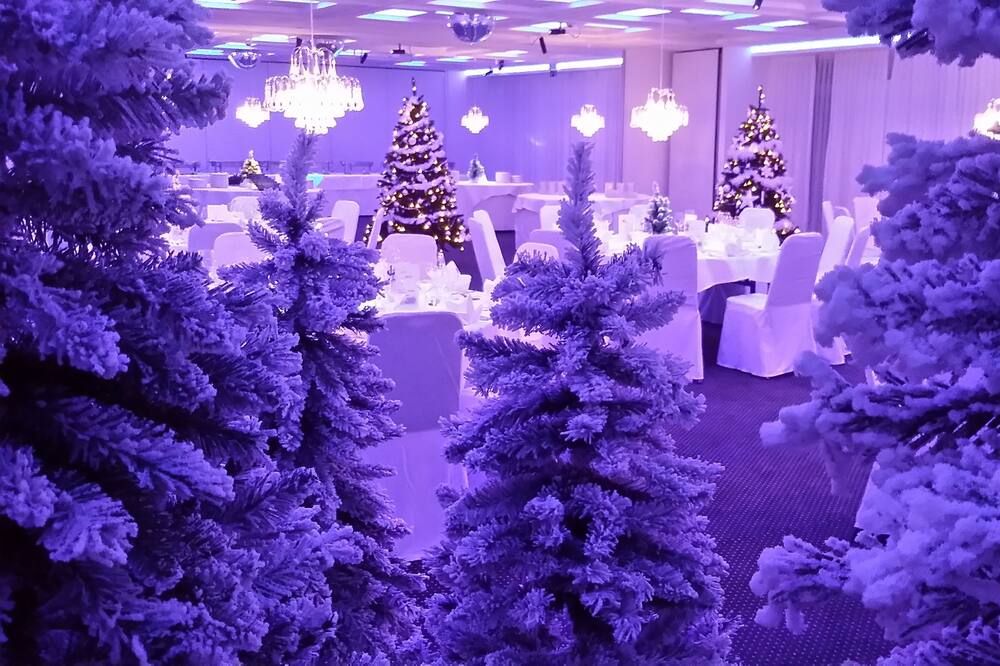 Nordica Hotel Friesenhof - Büsum - Banquet hall