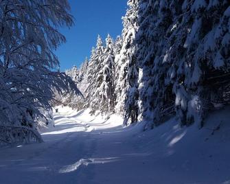Charmant gîte en montagne, 3 étoiles, proche randonnées et Alsace, tout confort avec terrasse. - FR-1-589-391 - Rupt-sur-Moselle - Servicio de la propiedad