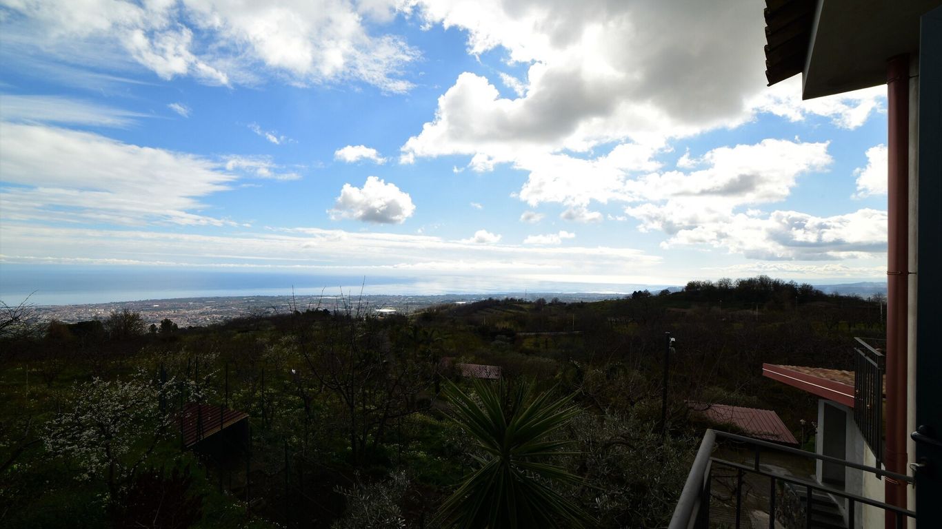 بي آند بي ديمورا ديلينتا