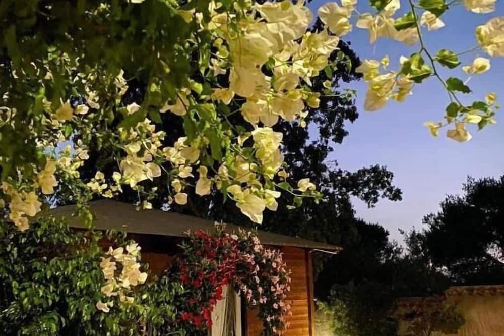 B&B Il Girasole - Sant’Anna Arresi - Venkovní prostory