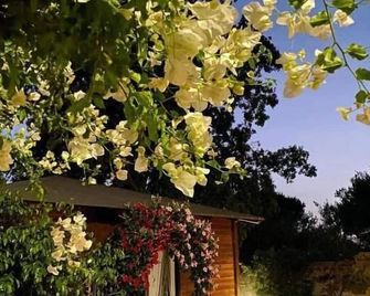 B&B Il Girasole - Sant’Anna Arresi - Venkovní prostory