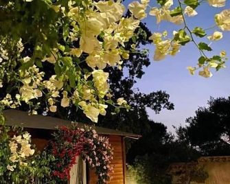 B&B Il Girasole - Sant’Anna Arresi - Venkovní prostory
