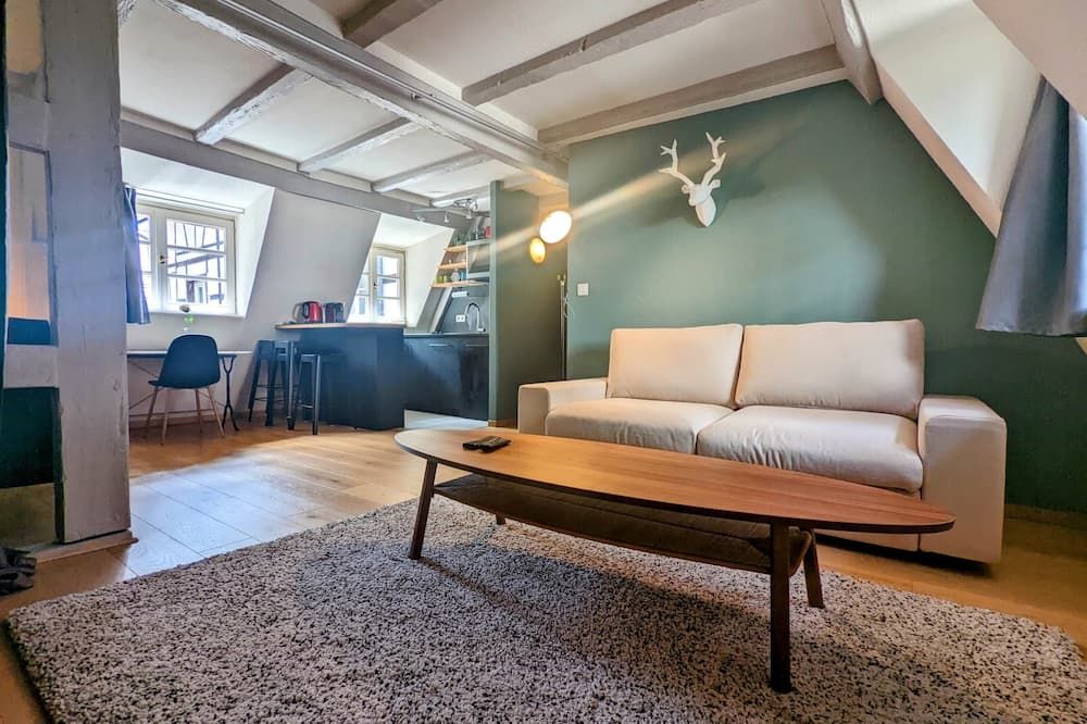 Citycosy Strasbourg - Authentique Batelier - סטרסבור - סלון