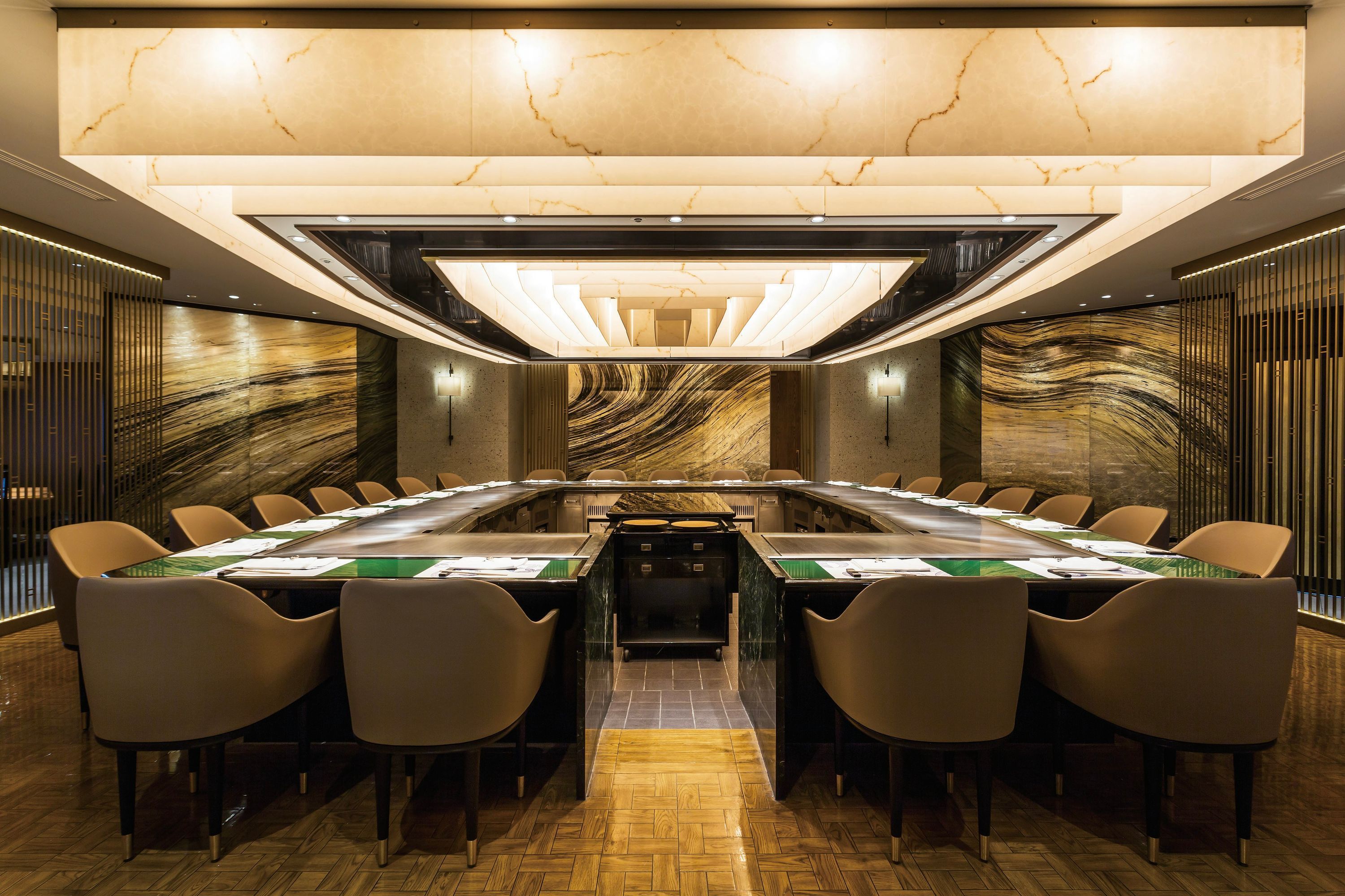 Imperial Hotel Tokyo - טוקיו - חדר ישיבות