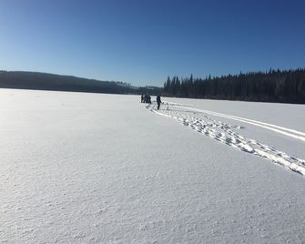 Custom built log home surrounded by lakes - Logan Lake - Servicio de la propiedad