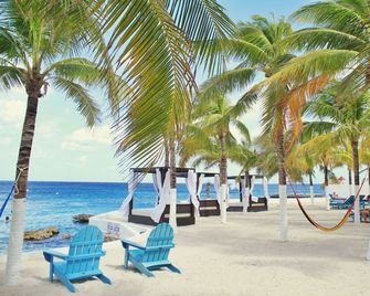 Cozumel Hotel & Resort - Cozumel - Strand