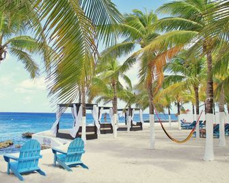 Cozumel Hotel & Resort - Cozumel - Strand