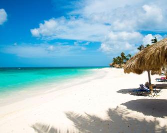 Divi Dutch Village Beach Resort - Oranjestad - Pláž