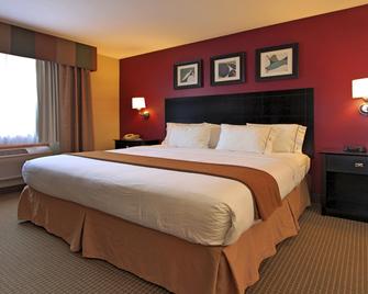 Holiday Inn Express Hotel & Suites Defiance - Defiance - Bedroom