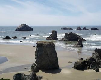 Panoramic View Of The Ocean Luxury Home 2700 Sq/Ft 1 Level Petfree - Bandon - Beach