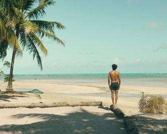 Sitio Villa Da Mata - São Miguel dos Milagres - Beach