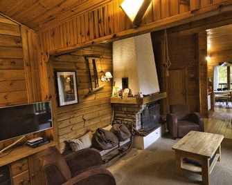 A Family Chalet In The Heart Of The High Vosges - Basse-sur-le-Rupt - Salon