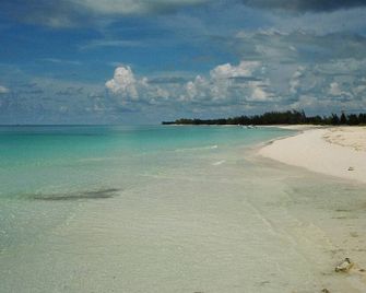 2/2 Condo/Great Location/New 40' Boat Slip @ Resorts World Bimini Bay! Free Wifi - Alice Town - Beach