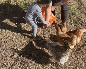 Copper Creek Farm - Toquerville