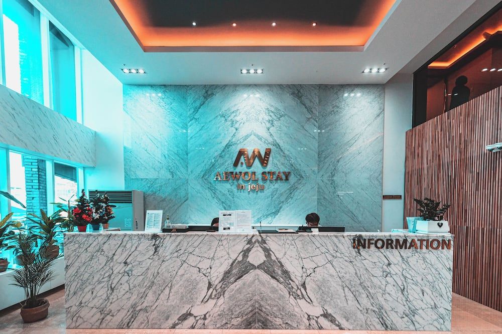 Aewol Stay In Jeju - Czedżu - Recepcja