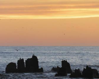 Admiral Court Motel - Kaikoura - Beach