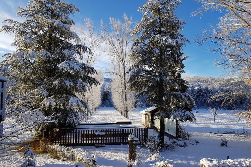 Le Vieux Tilleul - Seyne - Outdoor view
