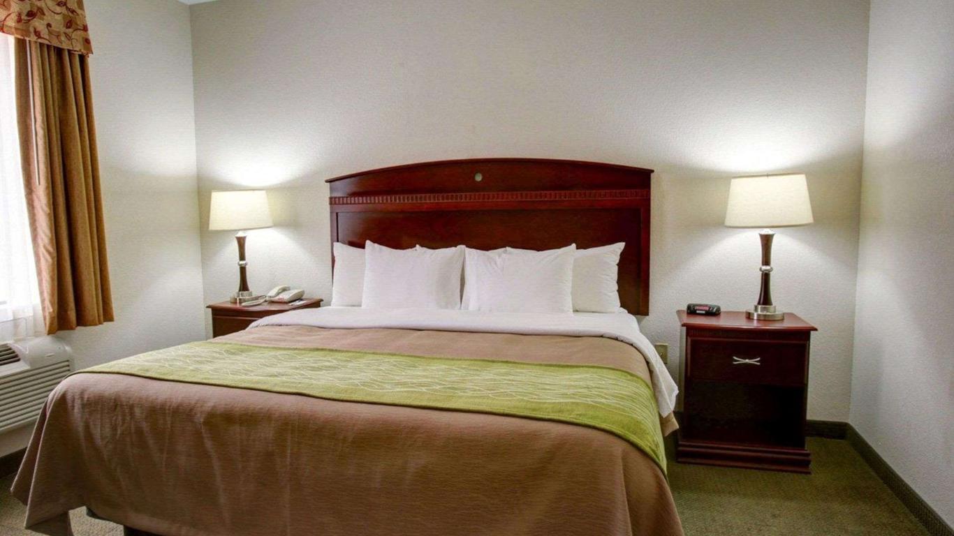 Quality Inn Rockdale