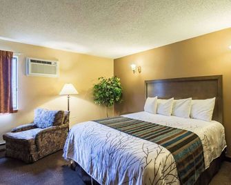 Rodeway Inn Red Wing - Red Wing - Camera da letto