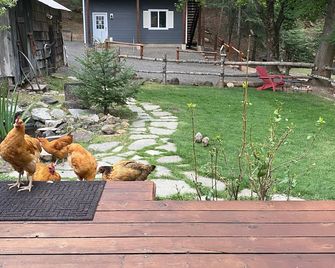 Gorgeous guest house, mature setting, 1 minute to the lake. - Harrison - Patio