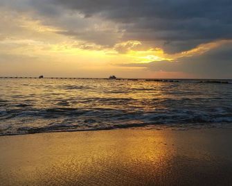 Jellyfish Hostel - Trung tâm Pattaya - Phòng ngủ