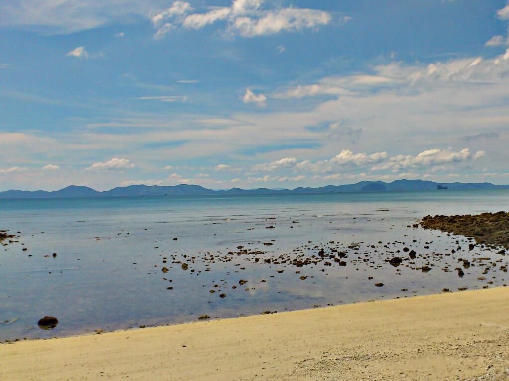 باين بونجالو