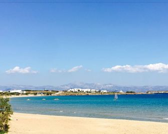 Amaryllis Beach Hotel - Chrisi Akti - Beach