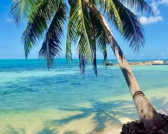 Sibaja Palms Sunset Beach Luxury Apartments - Ko Samui