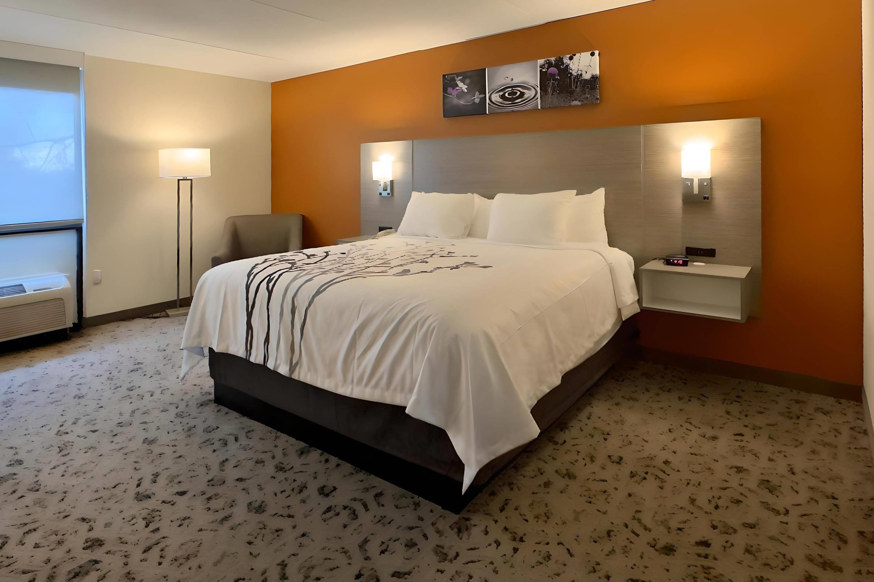 Sleep Inn Chambersburg - Chambersburg - Chambre