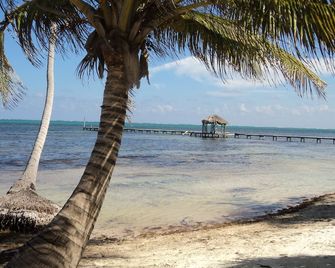 Royal Caribbean Resort - San Pedro Town - Playa