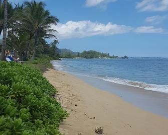 Updated Oceanfront Condo! Long clean beaches to walk & swim! Escape the Crowds! - Hauula - Beach