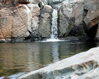 Yosemite Bug Rustic Mountain Resort - Midpines