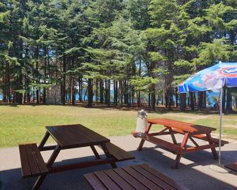 Youth Hostel Pinesta - Novigrad - Innenhof