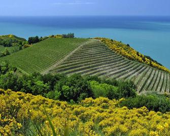 Casa by Sea in a Quiet Cove - Gabicce Mare