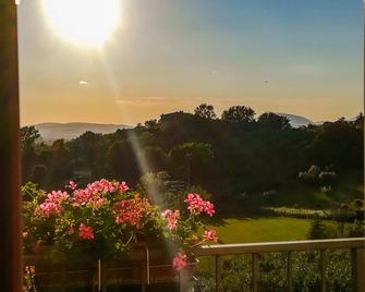 Viole Country Hotel - Asís