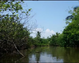 Nature geusthouse - Matara - Outdoors view
