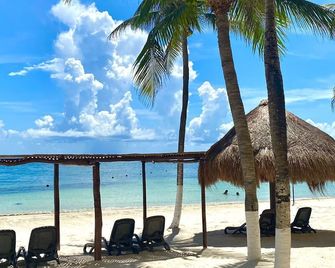 All Ritmo Cancun Resort & Water Park - Cancún - Plage