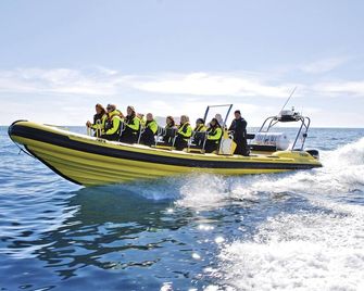 Hostel Villa Zorana - Hvar