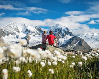 Hotel Donatz - Samedan