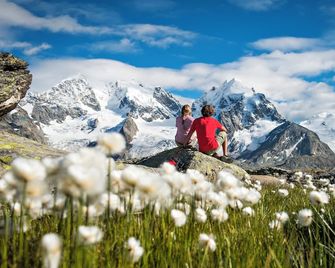 Hotel Donatz - Samedan