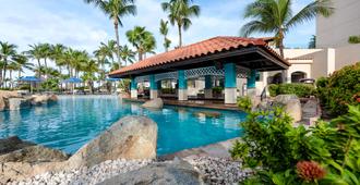 巴塞羅阿魯巴酒店 - 式 - 努德 - 棕櫚灘 - 游泳池