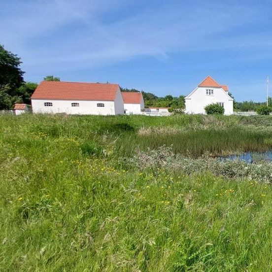 Løkken Klit Camping (Empty Lot) – Løkken