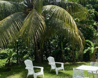 Maison charmante à Baie-Mahault avec jardin clôturé - Baie Mahault - Patio