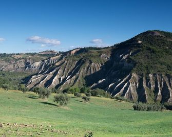Società Agricola Zucchera S.S. - Ripaberarda